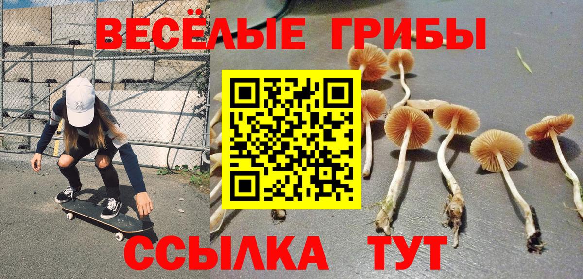 Галлюциногенные грибы ЛСД Новороссийск