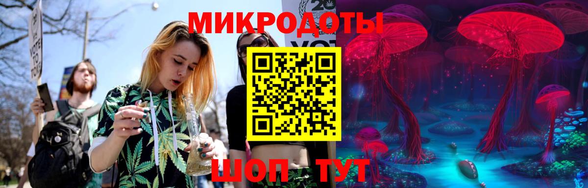 Галлюциногенные грибы Psilocybe  Вход с VPN  Новороссийск 